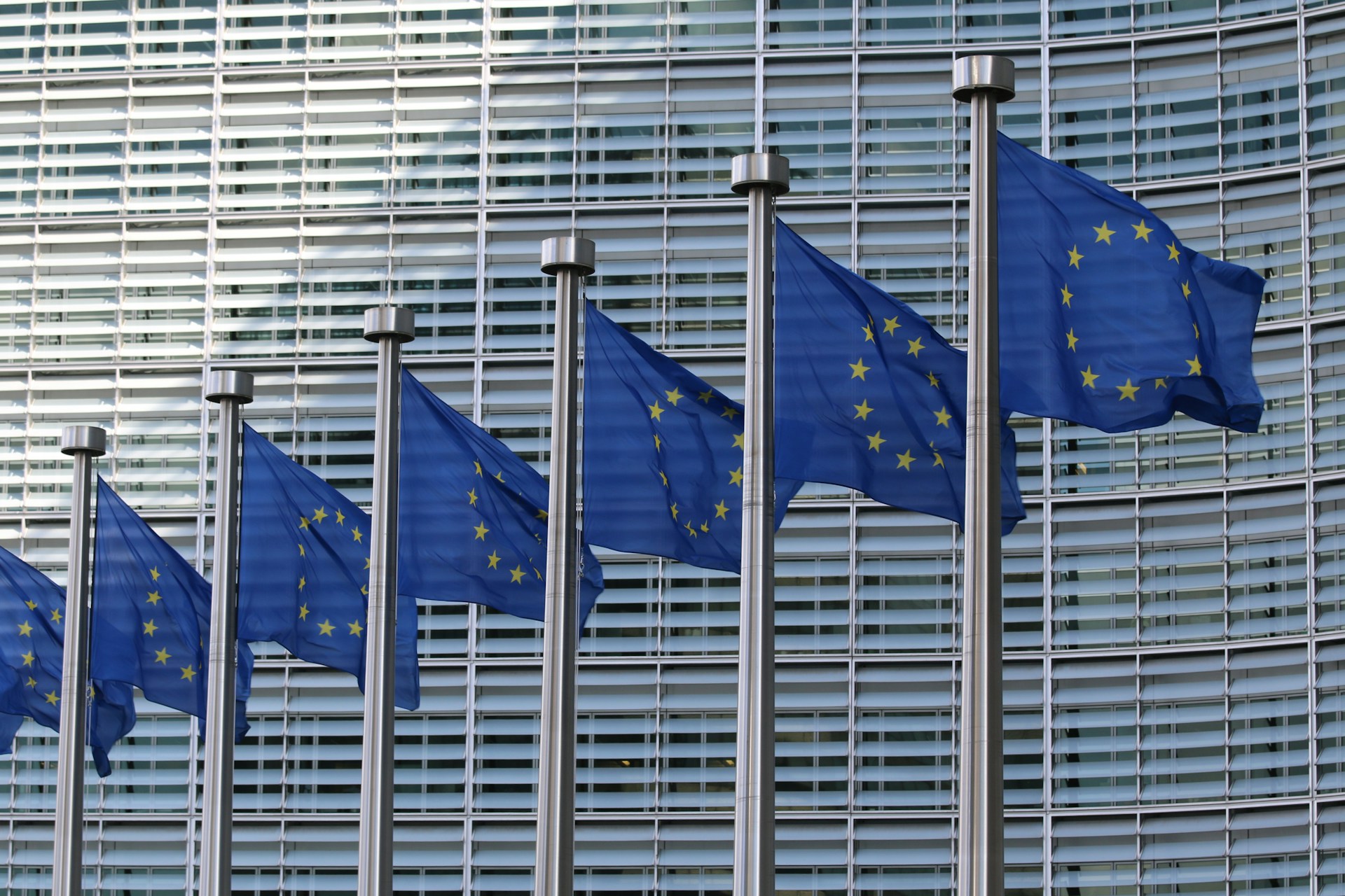 Hilera de banderas europeas frente al edificio del Parlamento Europeo